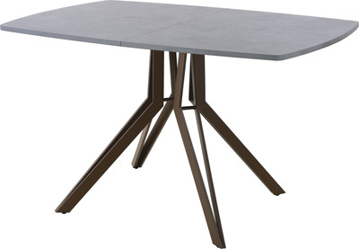 Обеденный стол AMC Elite / Е21(1100) D6 (коричневый/бетон чикаго светло-серый) - 