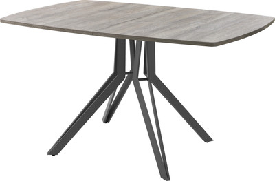 Обеденный стол AMC Elite / Е21(1200) D6 (графит/дуб уайт-ривер песочно-бежевый) - 