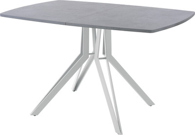 Обеденный стол AMC Elite / Е21(1100) D6 (серебро/бетон чикаго светло-серый) - 