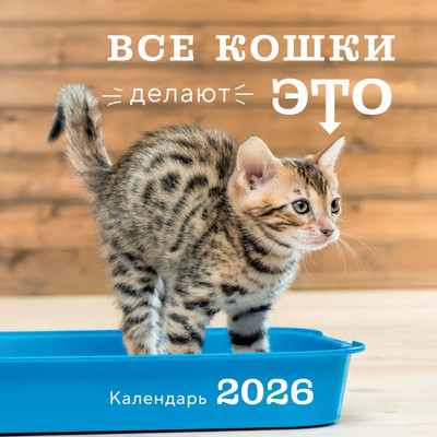 

Календарь настенный, Все кошки делают это 2026 год