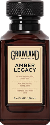 Парфюмерная вода Dilis Growland Amber Legacy (100мл) - 
