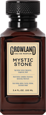 Парфюмерная вода Dilis Parfum Growland Mystic Stone (100мл) -