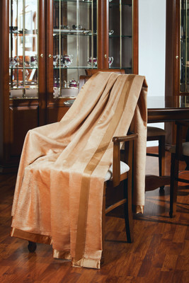 

Плед, Шелковый с атласной лентой 170х205 / 253022010-8