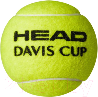 Набор теннисных мячей Head Davis Cup / 571354 (4шт)