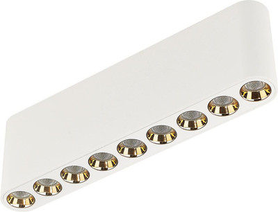 Люстра Odeon Light Small 7091/21CL -