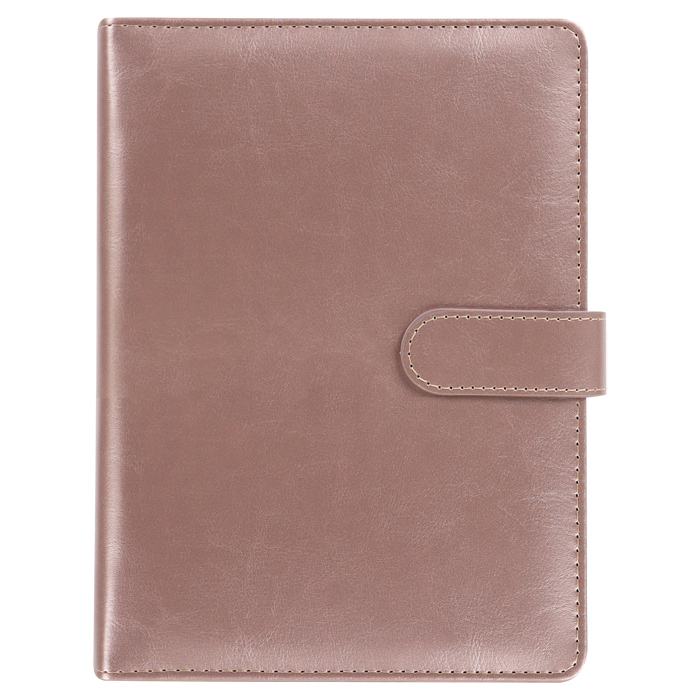 Ежедневник Darvish DV-15361F (100л)