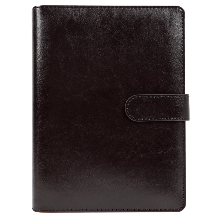Ежедневник Darvish DV-15361A (100л)