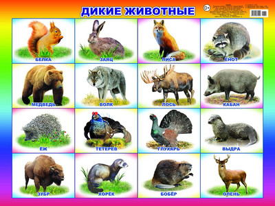 

Развивающий плакат, Дикие животные, твердая обложка