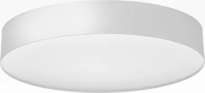 

Потолочный светильник, Bart CL755390