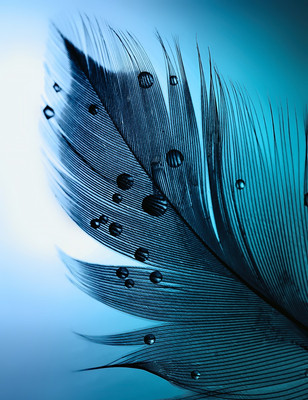 

Фотообои листовые, Абстракция 230