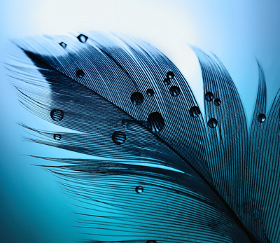 Фотообои листовые Citydecor Абстракция 230 (300x260см) - 