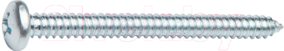 Шуруп Starfix Острый Полусферическая головка 6.3х70 DIN 7981 / SMC3-41323-150 (150шт, оцинкованный, белый)