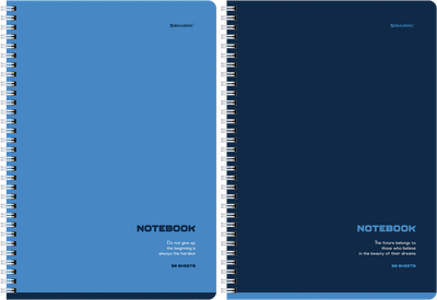 Набор тетрадей Brauberg 404646 (2шт) - 