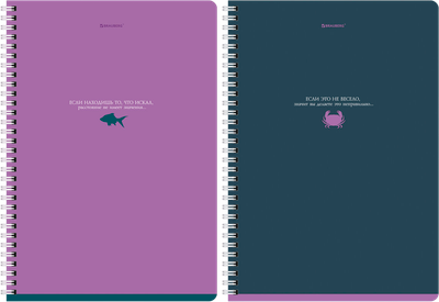 Набор тетрадей Brauberg 404647 (2шт) - 