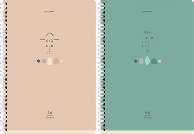 Набор тетрадей Brauberg 404648 (2шт) - 