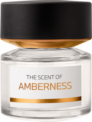 Парфюмерная вода BMW Fragrances Amberness (100мл) - 