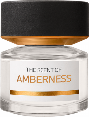 Парфюмерная вода BMW Fragrances Amberness (50мл) - 