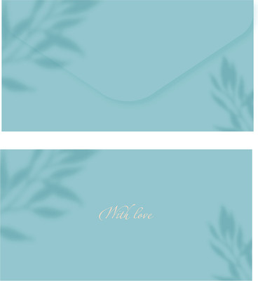 Конверт для денег Meshu Aquamarine / MS_55121 -