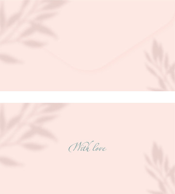 Конверт для денег Meshu Peach / MS_55120 -