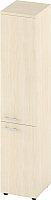 

Шкаф-пенал Славянская столица, Б-5.1912.2
