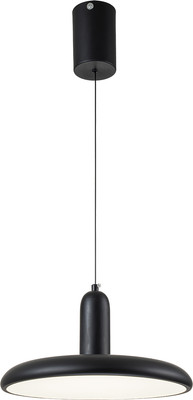 Потолочный светильник ESCADA 10230/1 LED (черный) - 