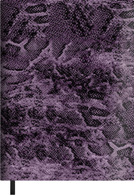 

Ежедневник, Питон / 70693