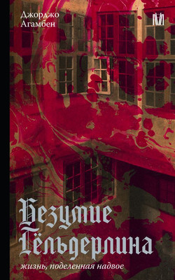 

Нехудожественная книга, Безумие Гельдерлина. Жизнь, поделенная надвое, мягкая обложка