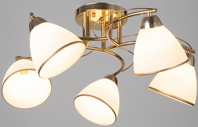 

Люстра, Андер / 10352898