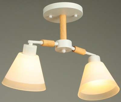 

Потолочный светильник, Вудли / 10352901