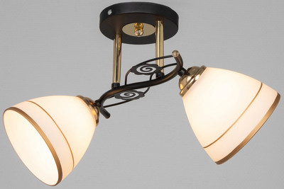 

Потолочный светильник, Кира / 10666511