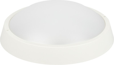 

Светильник ЖКХ, SPB-203-0-65K-018 / Б0070036