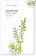 Маска для лица тканевая Nature Republic Real Nature Mask Sheet Tea Tree (23мл) - 