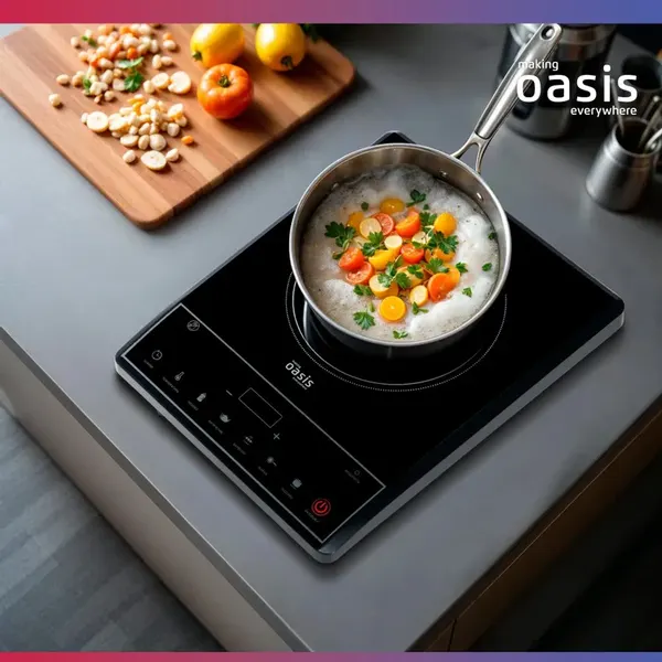 Купить Электрическая настольная плита Making Oasis Everywhere PI-KFNN в Гомеле