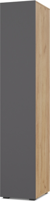 Шкаф-пенал Modern Челси Ч12 (золотой дуб/графит) - 