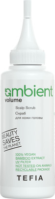 Скраб для кожи головы Tefia Ambient Volume (120мл) -