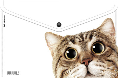 Папка-конверт Erich Krause Hiding Cats / 61155 (в ассортименте) - 