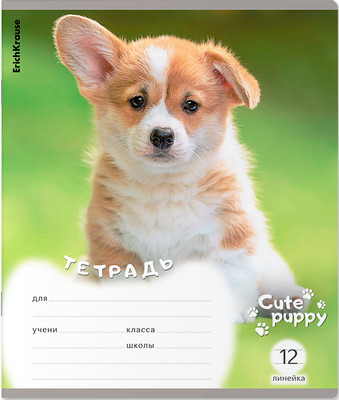 Тетрадь Erich Krause Щенки / 59974 (12л, линейка) -