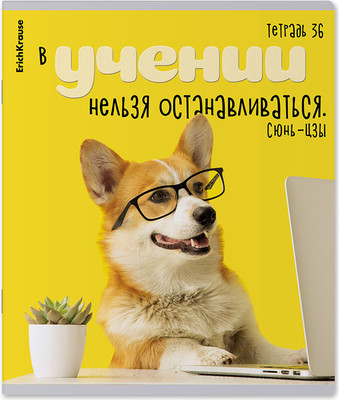 Тетрадь Erich Krause Ученые собаки / 60627 (36л, клетка) - 