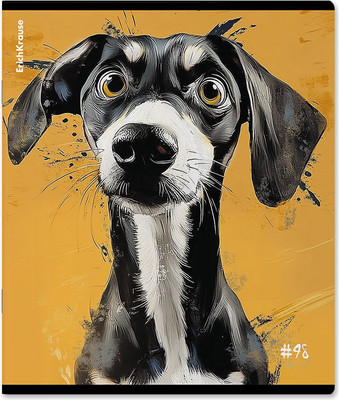 Тетрадь Erich Krause Goofy / 64871 (48л, клетка) - 