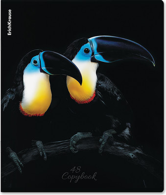 Тетрадь Erich Krause Attention / 63319 (48л, клетка) - 