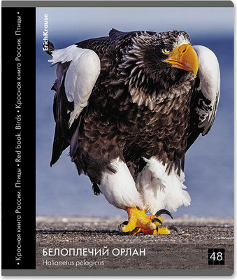Тетрадь Erich Krause Энциклопедия, Красная книга России. Птицы / 59968 (48л, клетка) - 