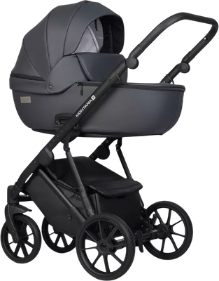 Детская универсальная коляска Riko Montana X Ecco 3 В 1 Basic (графитовый) - 