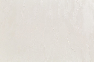 

Виниловые обои, Home Color Taina lesa PRO HC72464-21