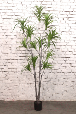 Искусственное растение Orlix Sago Cycas / 06-091-D