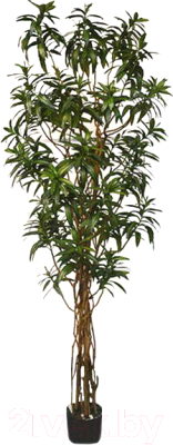 Искусственное растение Orlix Драцена Reflexa / 06-096-D