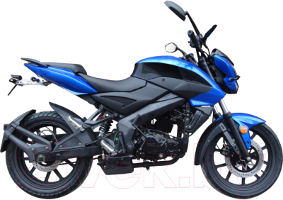 Мотоцикл Racer Flash RC250-GY8X (синий)