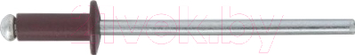 Заклепка Starfix Вытяжная 3.2x8 алюминий/сталь / SMC2-83225-1000 (1000шт, RAL 3005)