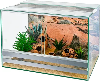 

Террариум, Набор для эублефара / GL-082656