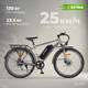 Электровелосипед MyWay Let 240 Max 26 (19, бронзовый) - 