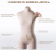 Миниатюра изображения товара Манекен портновский Royal Dress Forms Monica+ стойка Милан (бежевый, размер 42)